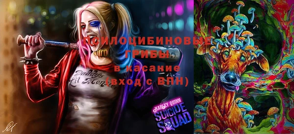 твердый Белоозёрский