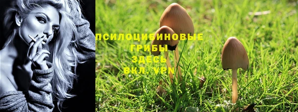 ГАЛЛЮЦИНОГЕННЫЕ ГРИБЫ Беломорск
