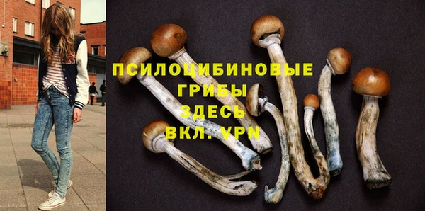 скорость Белокуриха