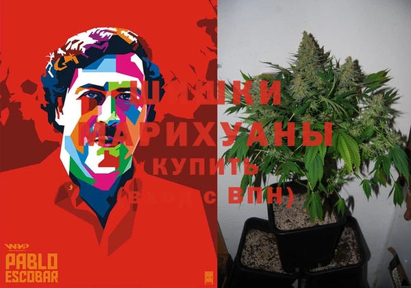 ГАЛЛЮЦИНОГЕННЫЕ ГРИБЫ Беломорск