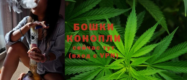твердый Белоозёрский