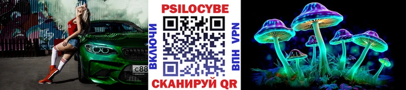Галлюциногенные грибы прущие грибы Куртамыш